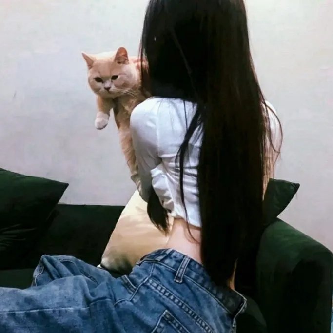 斗战胜佛之大圣之泪