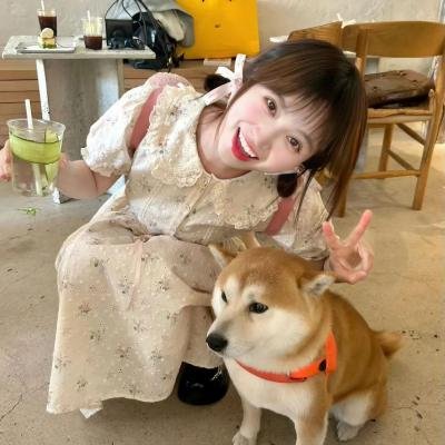 人狼游戏:疯狂的狐狸
