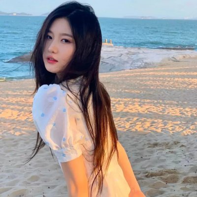 访问者